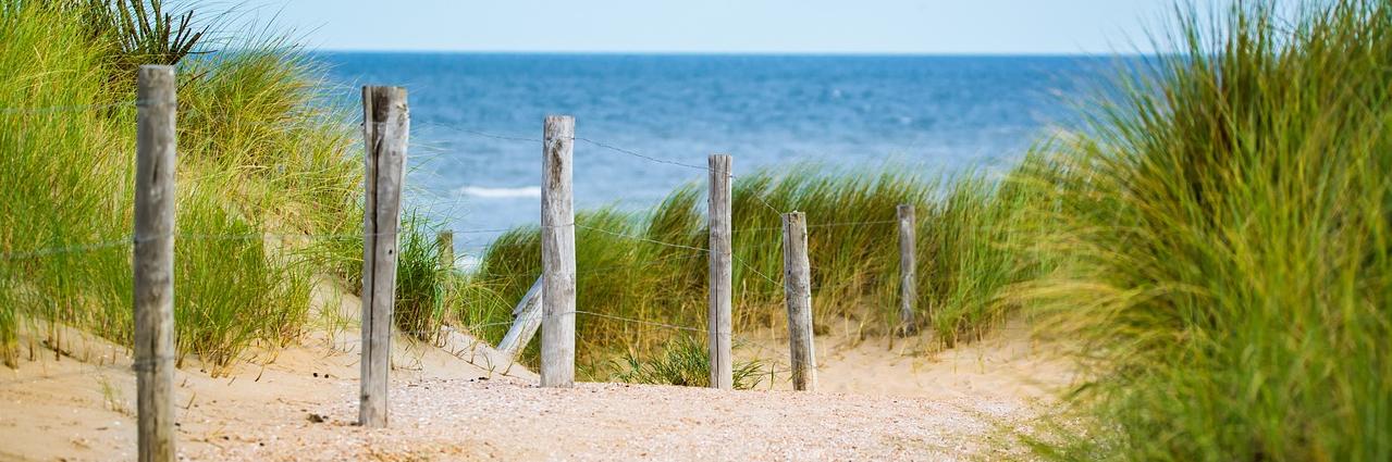 Placeholder header image