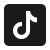 TikTok icon